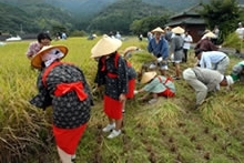 収穫祭風景2