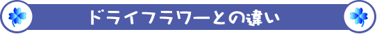 プリザーブドフラワーの歴史