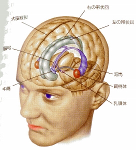 認知症の現況