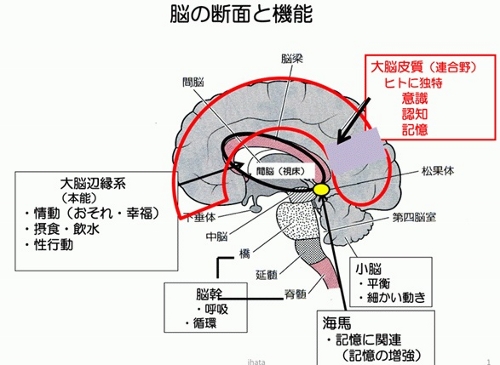 認知症の現況