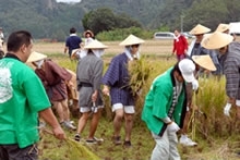 収穫祭風景1