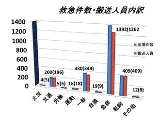 平成25年救急現況