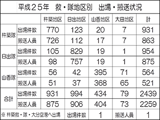 平成25年救急現況