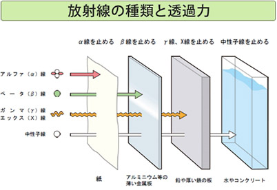 資料２